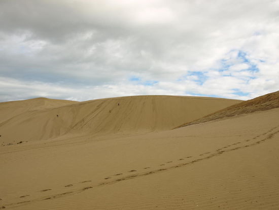 Die kleinen Punkte auf der Düne sind Strandsurfer, die mit ihren Boards hochwanderten