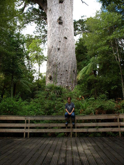 Und ich hab es auch mal mit mir im Bild als Vergleich gewagt