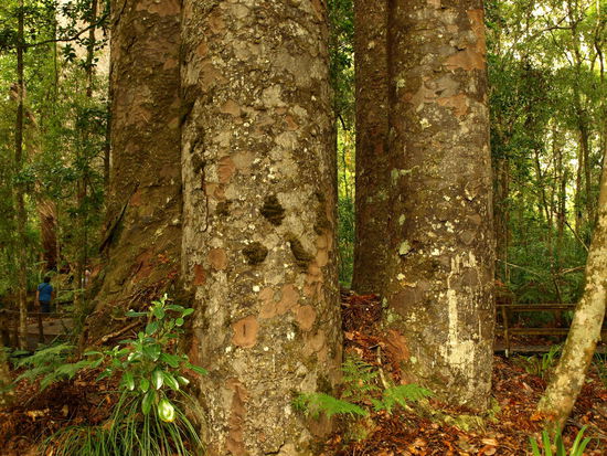 Auch hier war ich froh, dass ein Besucher ins Bild lief - links mittig