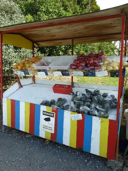 Obst und Gemüsestand am Straßenrand in der Bay of Plenty
