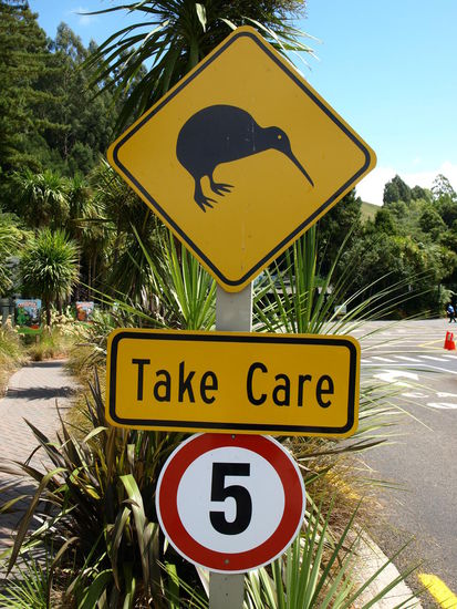 Eingang zu Rainbow Springs in Rotorua - da hab ich meine ersten echten Kiwis gesehen - aber zum Fotografieren ging es nicht, da nur ohne Blitz und da es nachtaktive Vögel sind, war es um 22Uhr einfach zu dunkel, um nen braun-schwarzen Vogel von ner dunklen Umgebung zu Unterscheiden