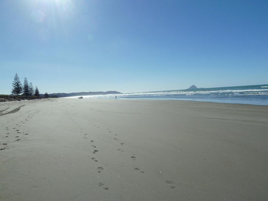 Der Stand direkt am Campingplatz