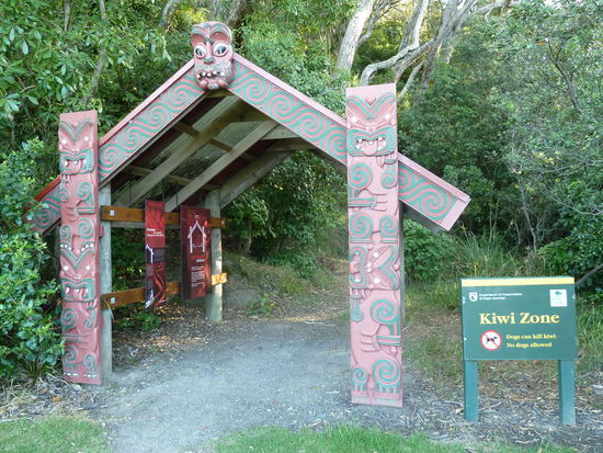 Ein Kiwischutzgebiet