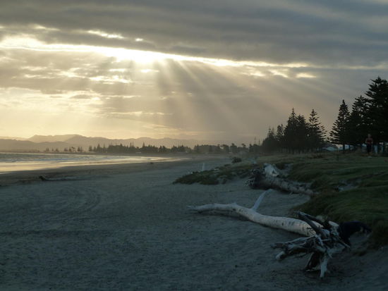 Noch ging es nicht los - also war Zeit für Fish und Chips - Omega 3 braucht ja der Körper