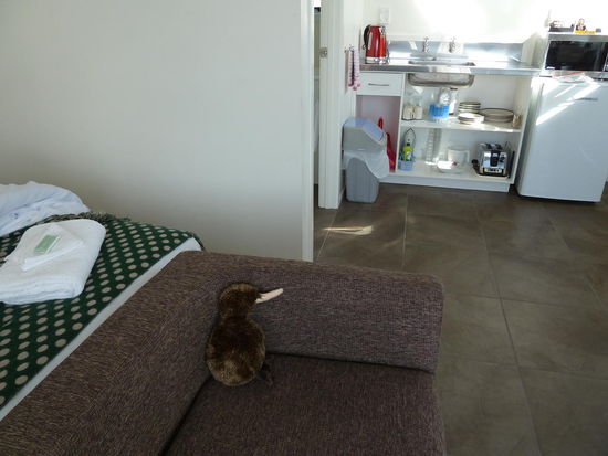 Meine Unterkunft in Napier, das Westshore Inn