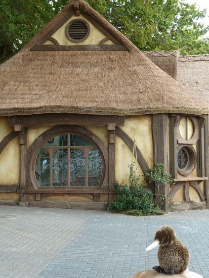 Kiwi fühlte sich schon wie ein Hobbit