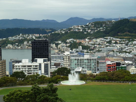 Blick über Wellington oberhalb vom Campus