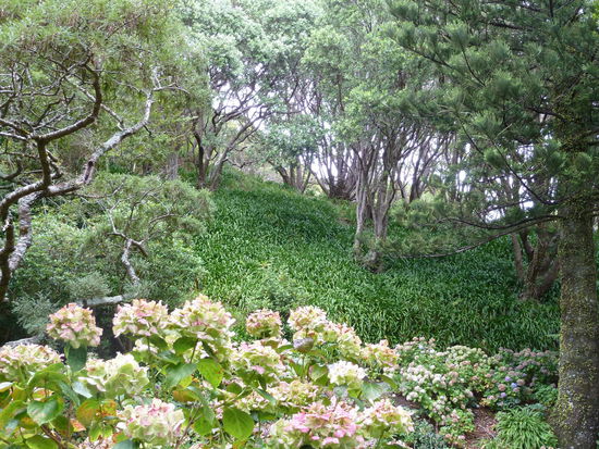 Durch den Botanischen Garten zurück in die Stadt