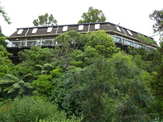 vorbei am Tree House