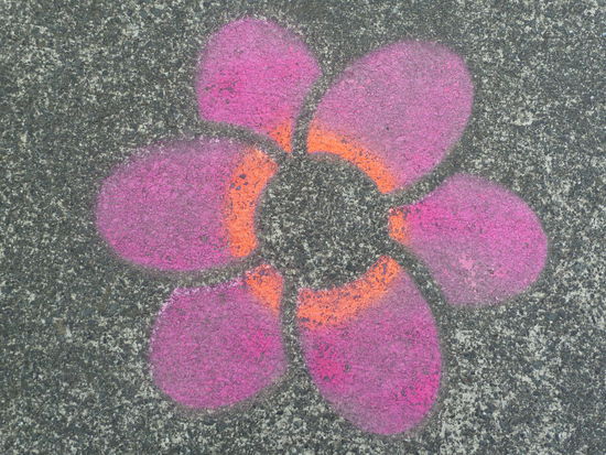 weiterhin der lila Blüte folgend