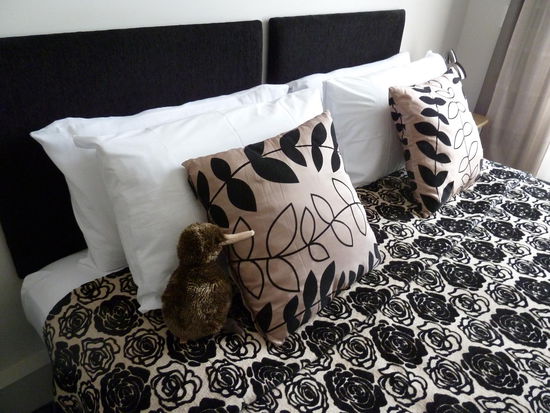 Kiwi hat sich gleich richtig wohlgefühlt