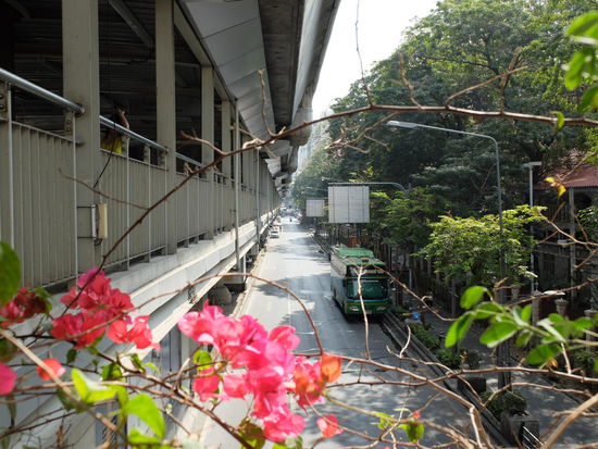 Irgendwann ist der Angasdruck doch echt hoch und die Sonne auch und da es keinen Schutz mehr von oben durch den Skytrain gibt wird mir bewußt - es ist definitiv blöd, die Sonnencreme vergessen zu haben, aber was soll's - da muss ich wohl durch. Ich glaube, nach 2,5h Fusmarsch habe ich mein Ziel erreicht und setz mich erstmal in den Schatten eines Baumes. Wahnsinn - diese vielen Menschen ....aber egal - der Königspalast ist ein Muss!