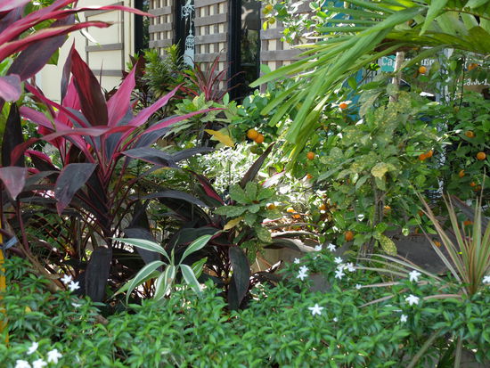 einfach so am Wegesrand...vor nem Kaffeladen 