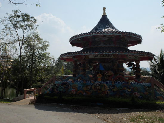 Leider Gegenlicht, aber Details sind besser