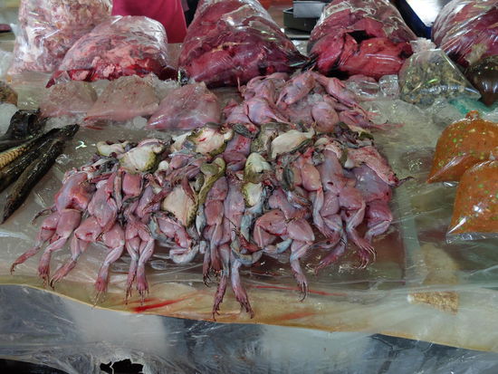 In Chiang Rai gabs auch kleine singende Vögelchen...naja ich hab mich beschränkt ...