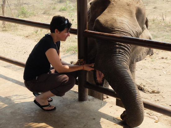 she is an old blind lady ...the elephant 