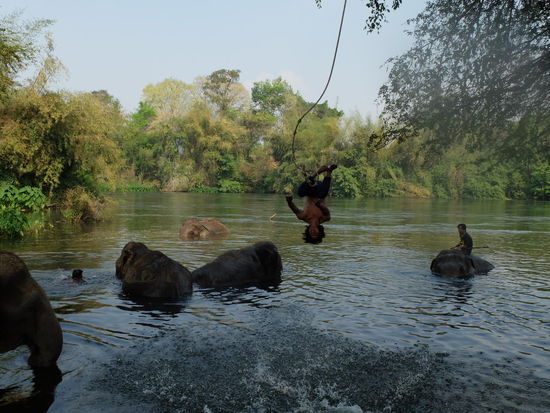 die Mahouts genießen die Zeit 