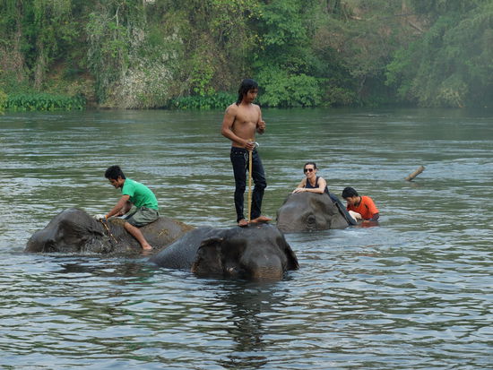 sein Mahout konnte auf ihm stehen, aber die anderen wollte er nicht 