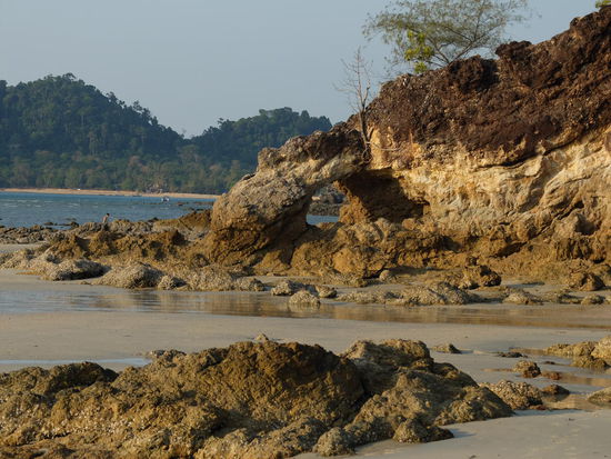 Riesen Hühnergötter 