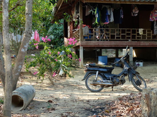 auch auf'm Weg - das typische Zuhause + Moped 