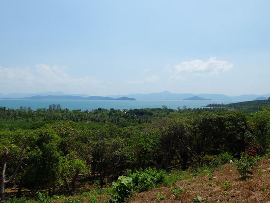 Weitblick zur Pierseite - wir stehen da nur kurz neben einem Bungalow