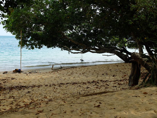Fullmoon hat ihn gefüllt mit Wasser - die Schaukel hängt sonst nicht im Wasser 