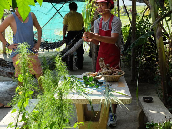 Das ist Zitronengras ...