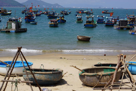 die Fischerflotte vor Ort