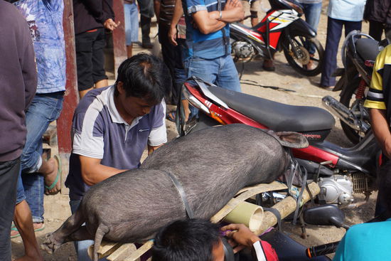 Abtransport auf dem Roller
