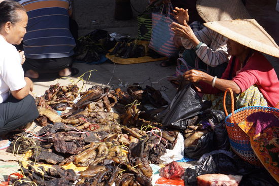 Geschmortes Schweinefleisch