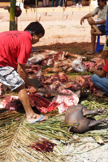 Das Fleisch wir zerlegt und verteilt