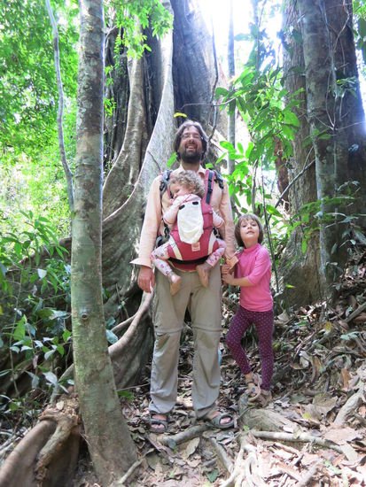 Vor den riesigen Wurzeln eines Banyan-Baumes