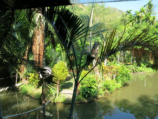 Unser Frühstücksausblick