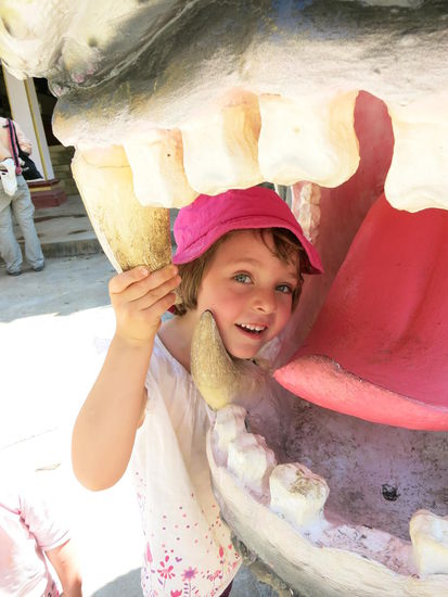 Auf in die Höhle des Löwen - äh Tigers