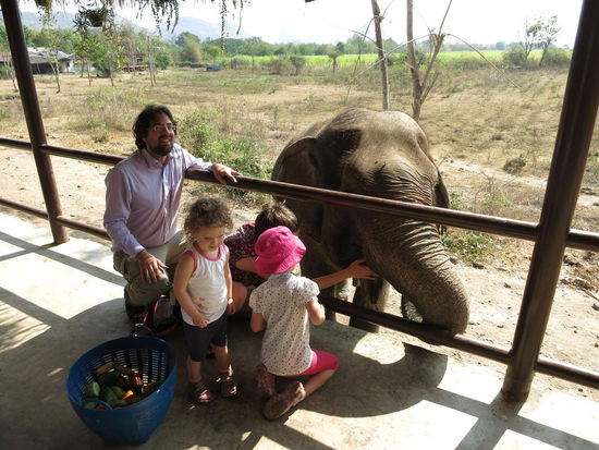 Wir füttern Son Kran