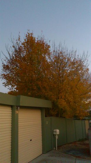 Einfahrt, wo ich die nächsten Wochen leben werde.....