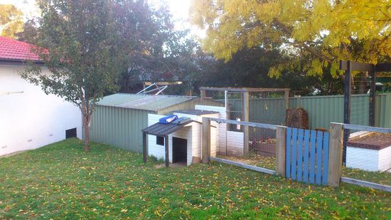 dort im Gehege leben die 4 Chicken und Katy ist in der Nacht im Freien. 
wie ihr sehen könnt die bunten Blätter... ja es war Herbst im März