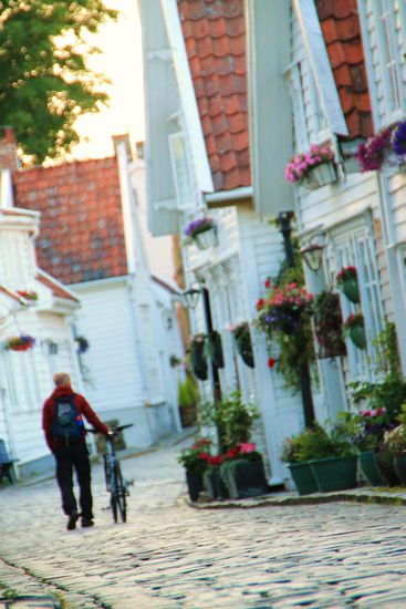 die Blumen erfrischen die Altstadtgassen