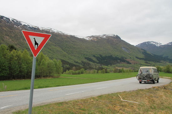 Obacht- Giraffen on Tour