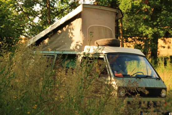 getarnt im hohen Gras