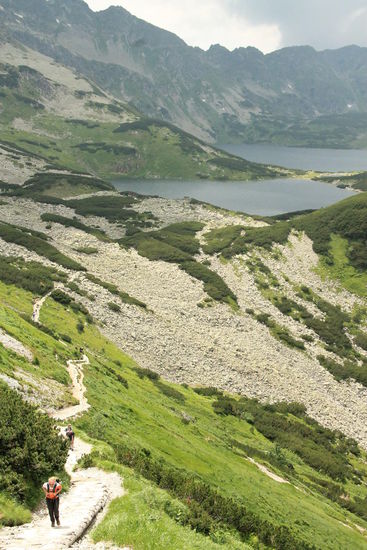 ich kämpfe mich zur Spitze hoch