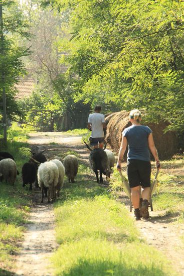 ''na kommt schon, nach hause gehts''