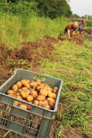 die Bürohände im Einsatz