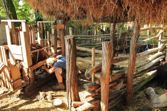 ...ich bringe das Erzeugnis...