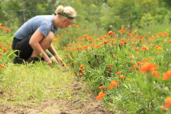 Unkraut zupfen gehört halt auch dazu