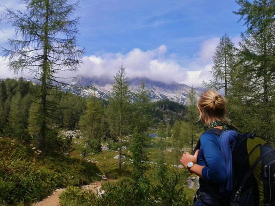 Blaubeersträucher zieren den Weg. Eine weite Landschaft zeigt sich auf 1685hm