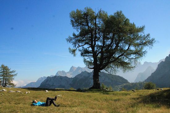 eine kleine Alm lädt zum träumen ein...