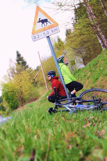 50 km auf dem Radl unterwegs, doch um Rentiere zu sehen brauchen wir viel Glück...