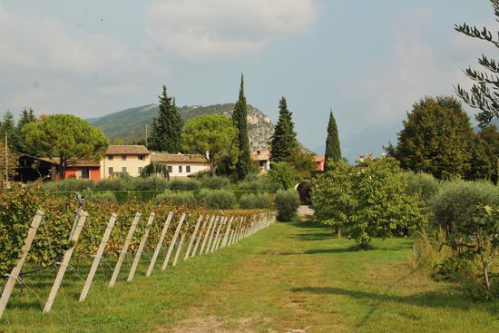 ein Bergdorf am Gardasee