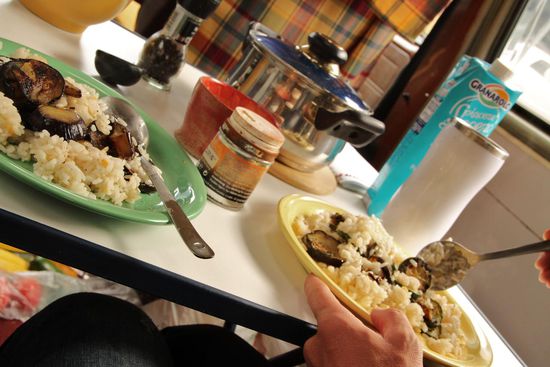 Gefühlschaos macht sich breit, das lässt sich mit Reis und Knobiauberginen hoffentlich verdauen...